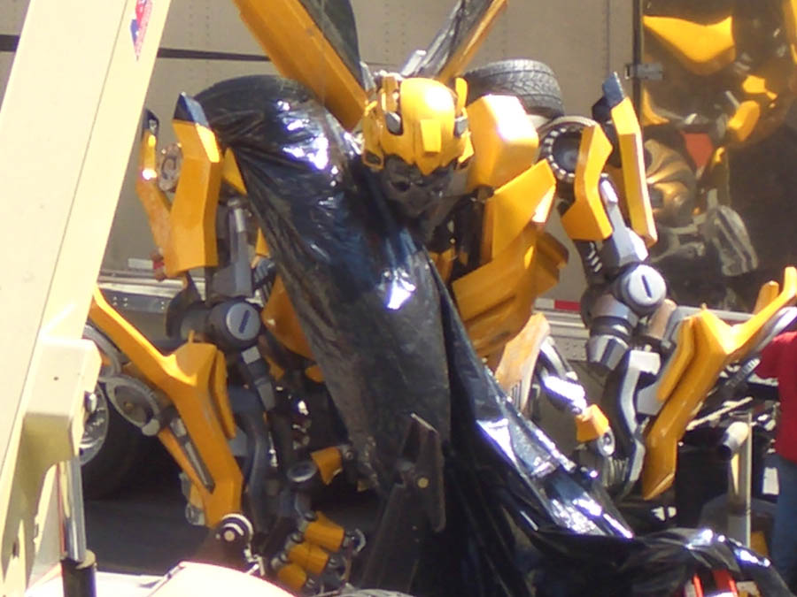 transbumblewide